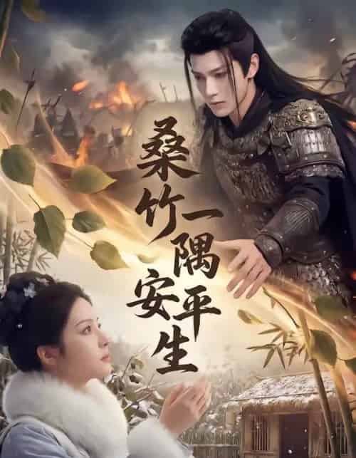 桑竹一隅安平生(54集全)AI-搜外项目网