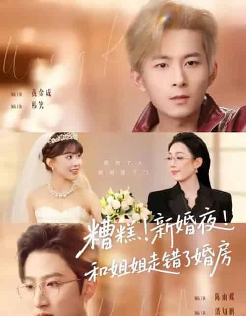 糟糕!新婚夜!和姐姐走错了婚房&糟糕新婚夜和姐姐走错了婚房(77集全)陈小满&韩笑&黄金成&潘知鹏-搜外项目网