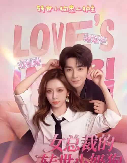 女总裁的转世小奶狗(30集全)程钲中&刘祖嫣-搜外项目网