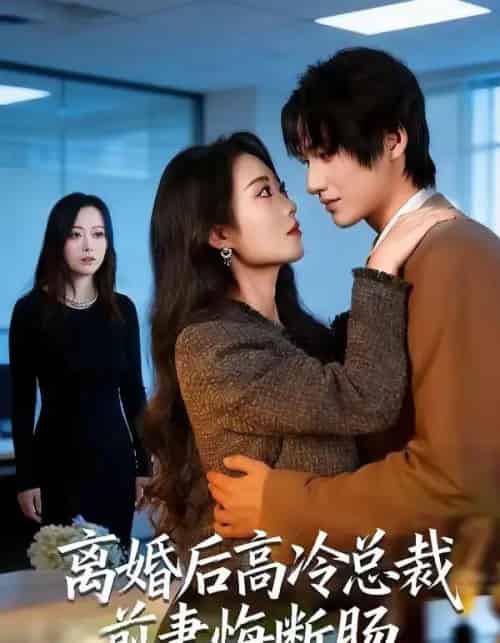 离婚后高冷总裁前妻悔断肠(80集全)王禹桐&杨舒婷-搜外项目网