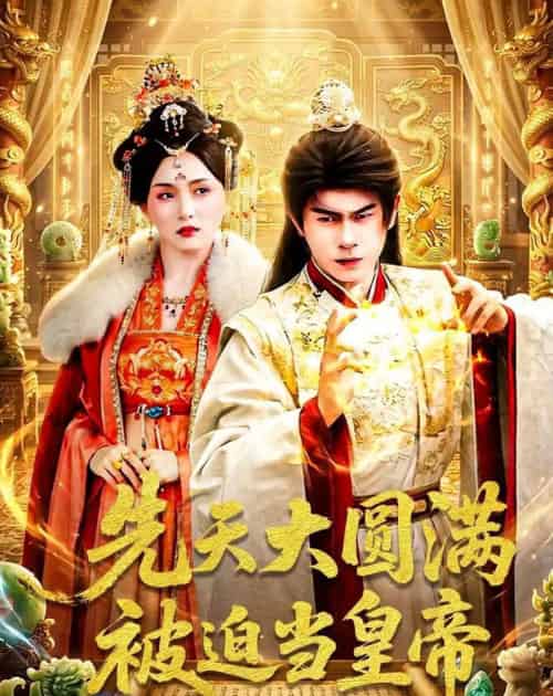 先天大圆满被迫当皇帝(75集全)林百沐&陆心童-搜外项目网