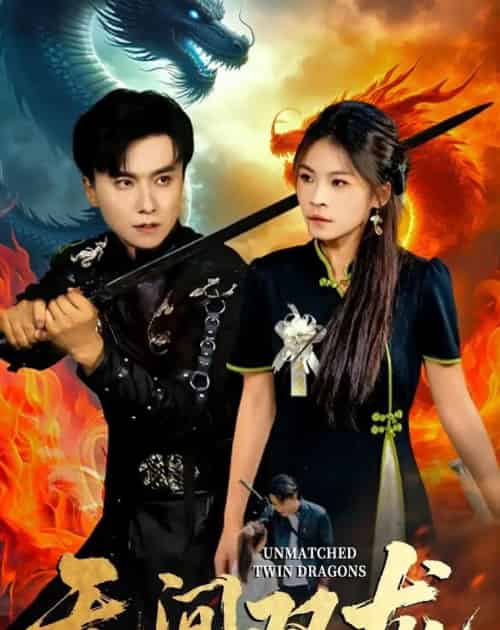 无间双龙(65集全)王振&杨航-搜外项目网