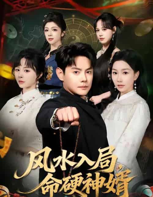风水入局,命硬神婿(80集全)邱浩轩&张馨悦-搜外项目网