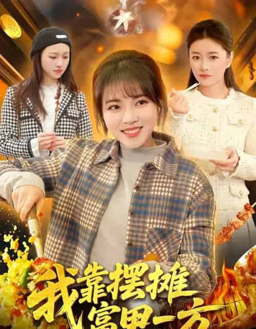 我靠摆摊富甲一方(99集全)李雪丹&张策-搜外项目网