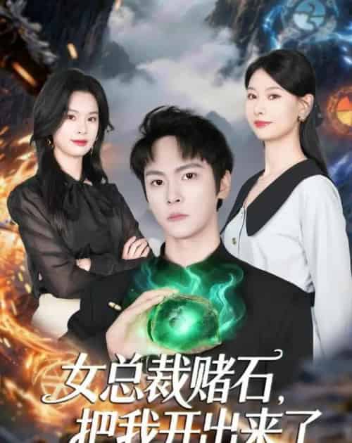 女总裁赌石,把我开出来了(76集全)李硕&杨静怡-搜外项目网