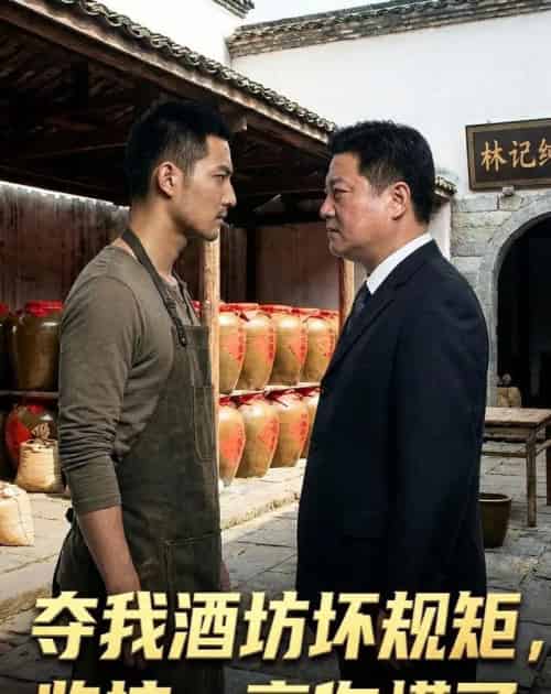 夺我酒坊坏规矩监控一亮你慌了(51集全)-搜外项目网