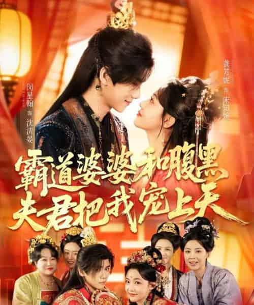 霸道婆婆和腹黑夫君把我宠上天&四个婆婆和腹黑夫君把我宠上天(65集全)闵星翰&龚芳妮-搜外项目网