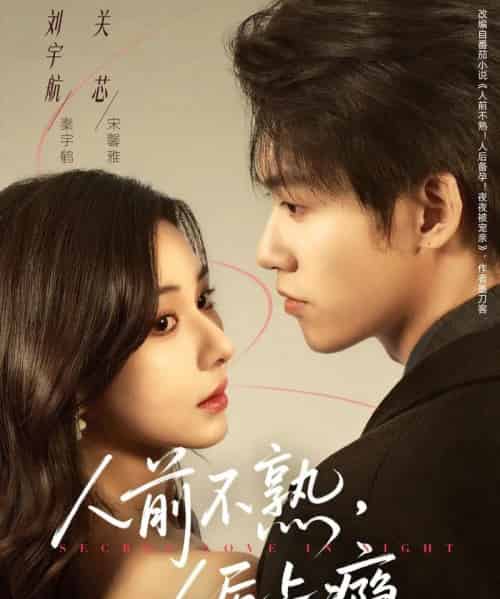 人前不熟,人后上瘾(69集全)刘宇航&关芯-搜外项目网