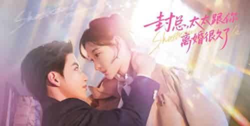 封总,太太跟你离婚很久了(70集全)徐凯鑫&李羽桐-搜外项目网