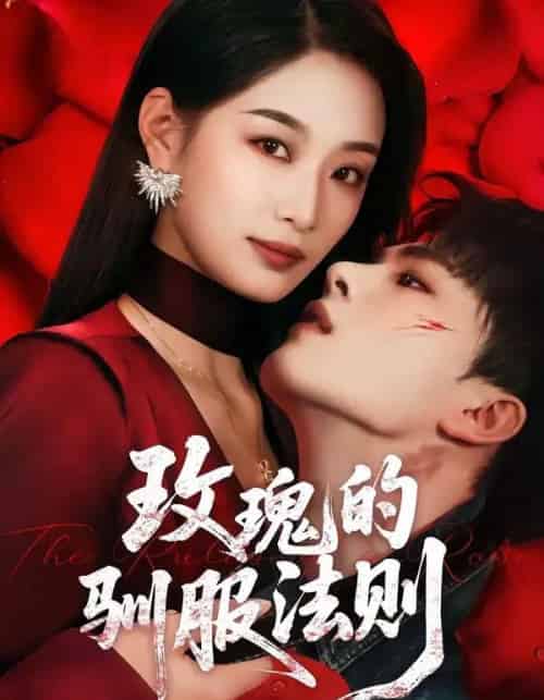 玫瑰的驯服法则(65集全)韩佳卉&郑铂瀚-搜外项目网