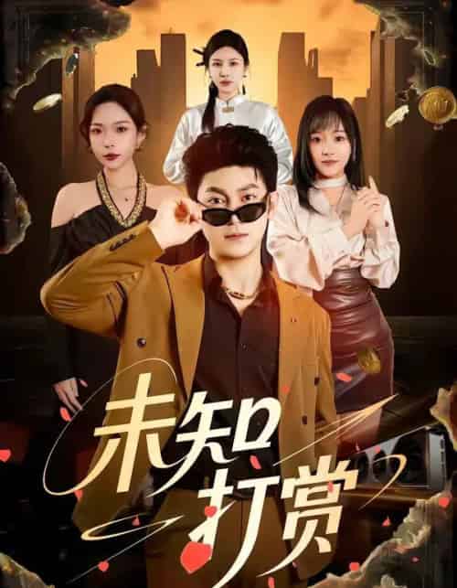 未知打赏(45集全)邓依灵&冯冠清-搜外项目网