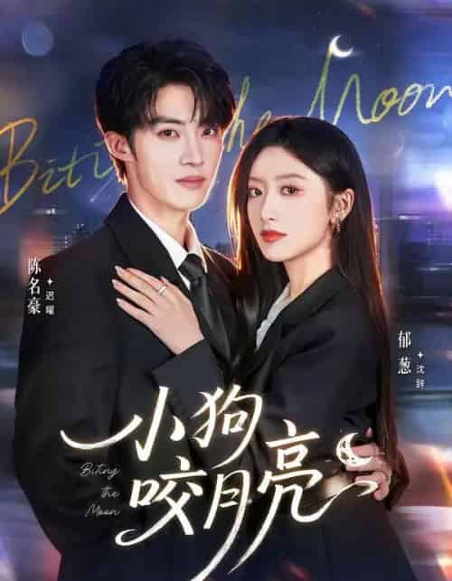 小狗咬月亮(66集全)陈名豪&郁葱-搜外项目网