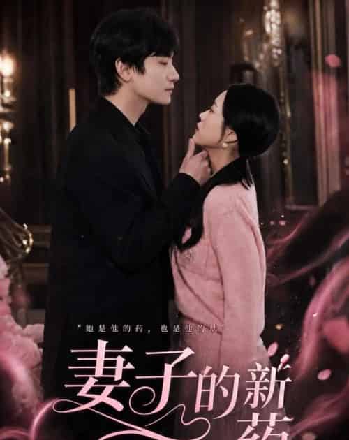 妻子的新药(60集全)杨芷煊&俞秉辰-搜外项目网