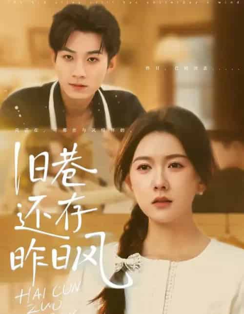 旧巷还存昨日风(76集全)霍豆豆&王曜-搜外项目网