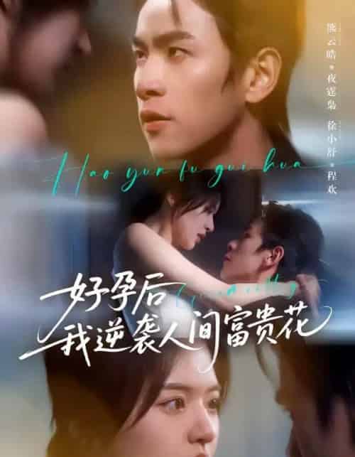 夜先生的小欢喜&好孕后我逆袭人间富贵花(71集全)熊云皓&徐小舒-搜外项目网