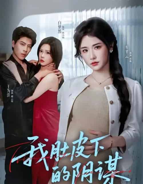 我肚皮下的阴谋(75集全)王为洋&车芊云-搜外项目网